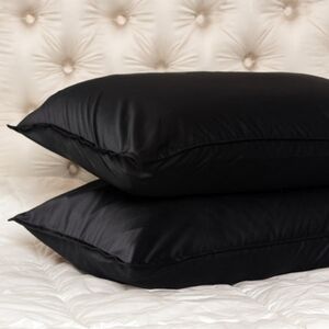 NWT Felina Satin Pillowcases - Queen